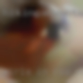Girls in Rio nude