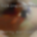 Horny married Chicago women