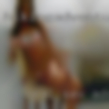 NJ oral sex ads