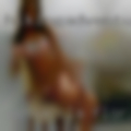 Pensacola, Florida swingers Pensacola, Florida swingers